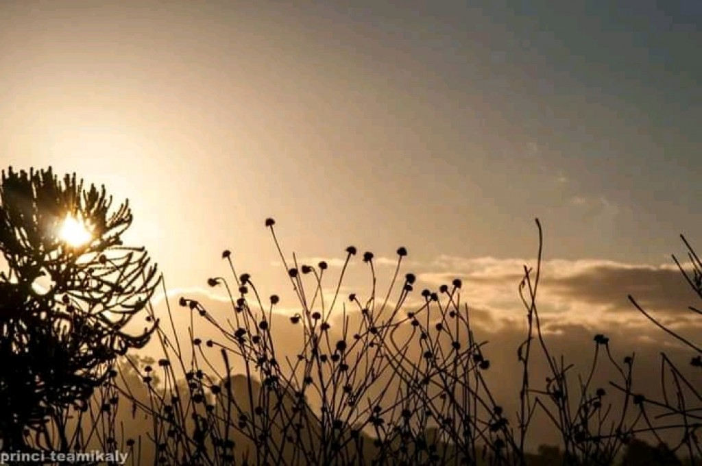 Nature et paysage