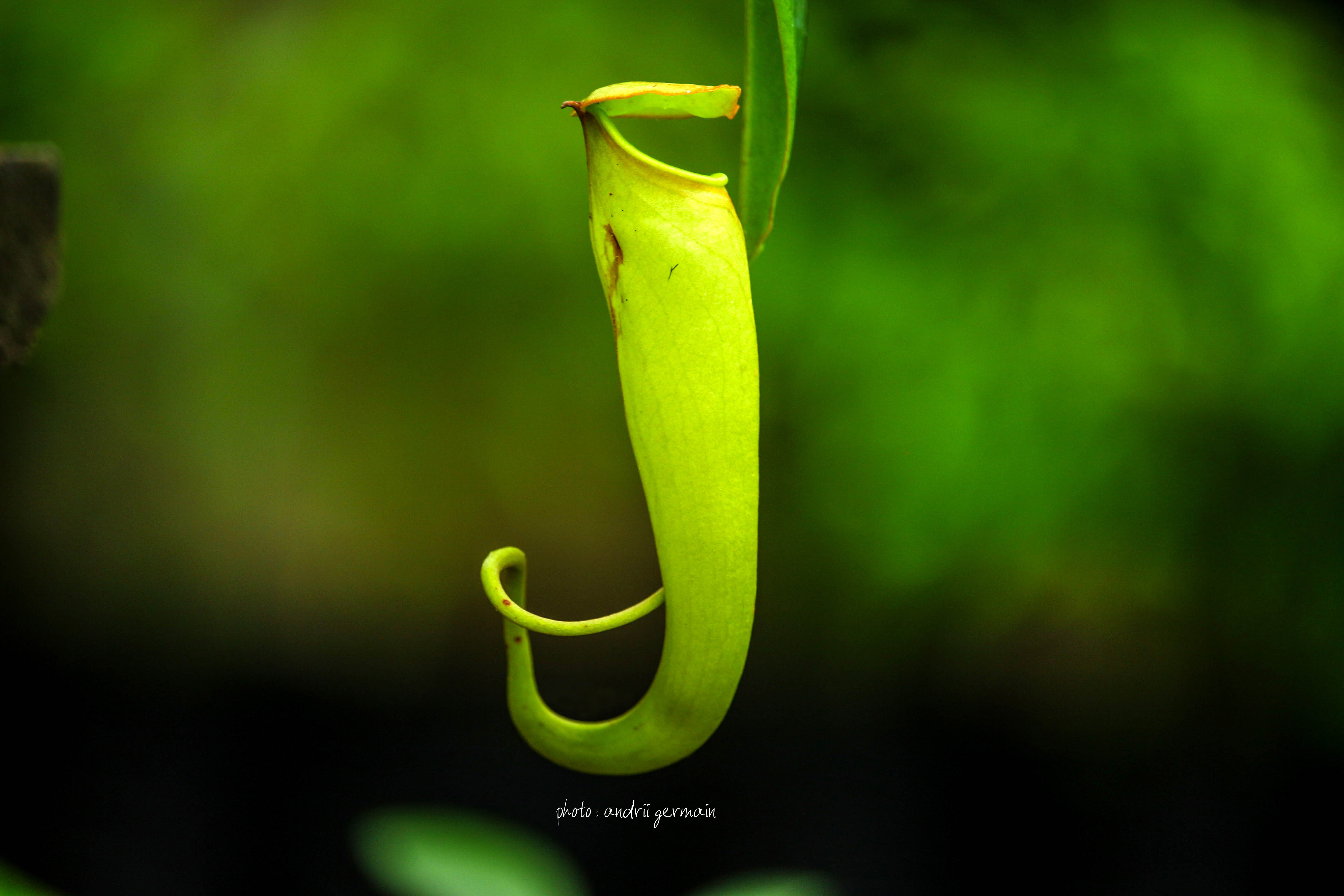 Natiora / Nature