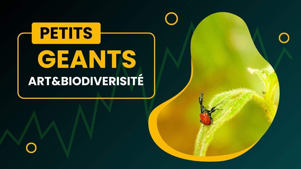 Collection "Petits Géants"
